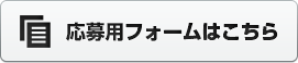 pPDF͂
